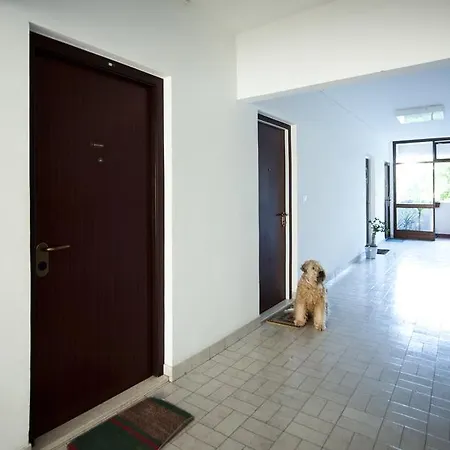 Apartment Asa Split